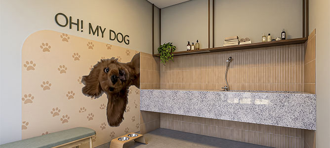 einstein-areas-adj-_0000_MDA_E001 - PETCARE@1.3_VF